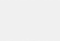 Unique - Absolute Blanc