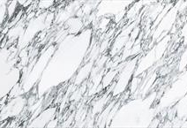 Ascale - Arabescato White